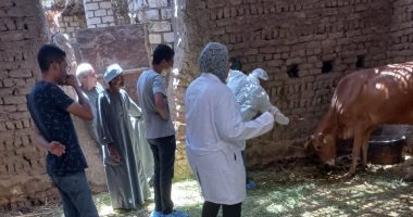شاهد أعمال لجان الطب البيطرى فى تحصين المواشى بقرى ومدن الأقصر.. صور
