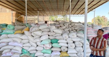 مباحث التموين تتمكن من ضبط كميات من القمح البلدي قبل بيعها بالدقهلية
