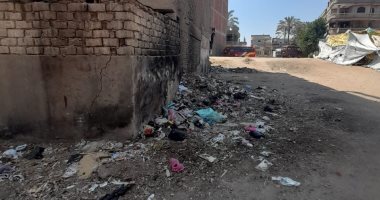 شكوى من تراكم القمامة فى قرية طحا المرج بالشرقية.. والمحافظة ترد