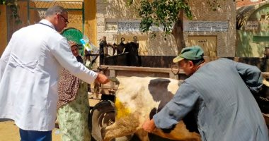 بيطرى الغربية: الكشف على 127 حيوانا وأكثر من 500 طائر بقافلة بيطرية بالسنطة