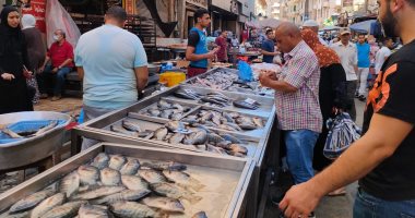 تعرف على أسعار الأسماك فى الأسواق.. البلطى ما بين 54 و56 جنيها
