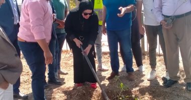 مدينة القرنة تزرع أول أشجار مثمرة على طريق الكورنيش الجديد بالبر الغربي..صور
