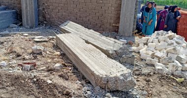 إزالة 3 حالات تعد على الرقعة الزراعية فى المحلة بالغربية