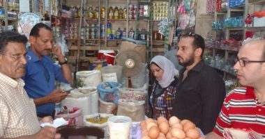 إعدام مواد غذائية غير صالحة للاستهلاك الآدمى خلال حملة فى الدقهلية