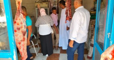 تحرير 15 محضرا وضبط 28 مخالفة فى حملات تفتيش بيئية موسعة بمدينة الأقصر