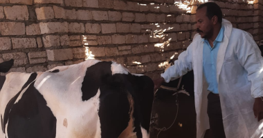 فحص المواشى فى سوق أرمنت.. وتوعية أصحاب الماشية بأهمية التحصين بالأقصر "صور"