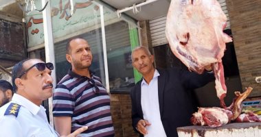 ضبط لحوم مصنعة فاسدة خلال حملة تفتيشية للطب البيطرى بأسوان.. صور