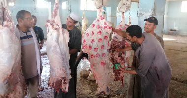 مدير "بيطرى الأقصر": نتابع تطوير ورفع كفاءة المجازر المختلفة بالمحافظة.. صور