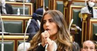 برلمانية: حفظ قضايا التمويل الأجنبى الـ75 دفعة لمنظمات المجتمع المدنى