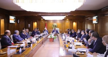 وزير التعليم العالى: الجامعات الأهلية الجديدة لا تستهدف الربح