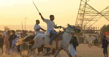 سباقات الخيول والمرماح تبهر أهالى الأقصر بمولد السلطان عبد الجليل.. صور