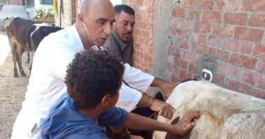 جامعة الزقازيق توجه قافلة بيطرية بقرية كفر أبو عوضى  بأبو كبير الشرقية