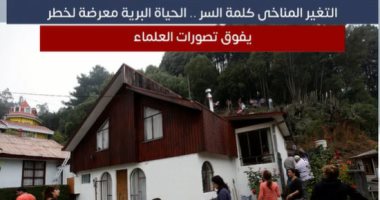 تغير المناخ كلمة السر.. الحياة البرية معرضة لخطر يفوق تصورات العلماء.. فيديو