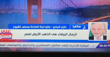 النائب حازم الجندى: الرئيس نجح في تعظيم ثروات مصر الطبيعية.. وسيناء تمتلك كنز من الرمال البيضاء