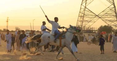 الفارس ينزل فى الميدان.. مهارات الفرسان فى المرماح موروث شعبي أصيل لأهل الأقصر 