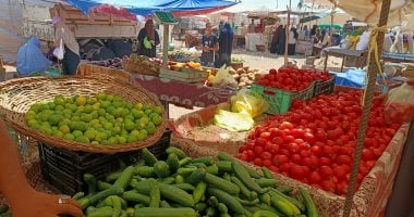 أسعار الخضراوات في الأسواق.. الفاصوليا بـ15جنيهًا للكيلو