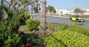 محافظ الإسكندرية: إجمالي المساحات الخضراء نحو 248.5 فدان موزعة على 10 أحياء