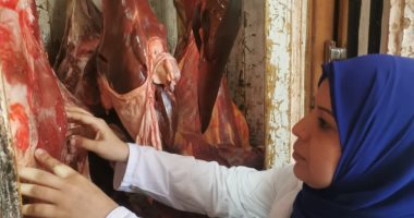 الطب البيطرى بالشرقية يضبط 8 أطنان دواجن غير صالحة للاستهلاك الآدمى