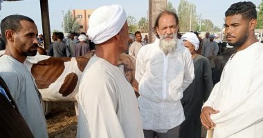 رجال الطب البيطري بالأقصر يستكملون فحص المواشي بسوق أرمنت الأسبوعى.. صور