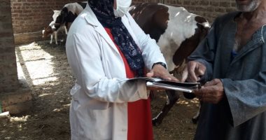 مدير بيطرى الأقصر: حملات توعية مكثفة لمربى المواشي لحماية الإنتاج الحيوانى.. صور