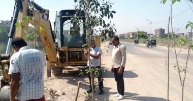 زراعة 648 شجرة بطما وطهطا وحي الكوثر بسوهاج ضمن مبادرة "100 مليون شجرة".. صور
