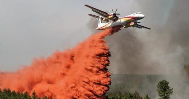 الجيش الوطنى التونسى يعلن السيطرة على جميع حرائق الغابات