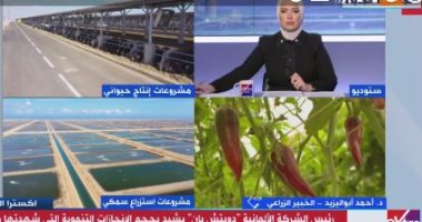 خبير زراعى لـ"إكسترا نيوز": مصر الأولى عالميا في تصدير الموالح والبطاطس