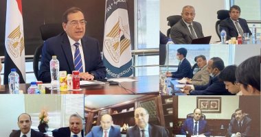 وزير البترول يبحث مع "تويوتا تسوشو" تقييم فرص إنتاج الأمونيا الزرقاء في مصر