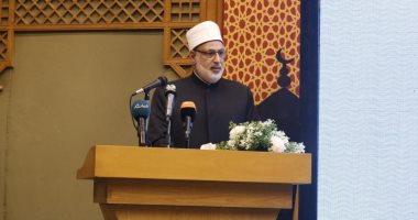 وكيل الأزهر يدعو لميثاق شرف «من أجل الإنسانية» يحدد أسس التعامل مع البيئة