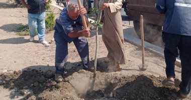 تطوير الميادين وزراعة الأشجار بمدن كفر الشيخ .. صور