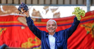 مانجو وعنب وبرقوق.. سوق الساحل جنة الفواكه على أرض مصر