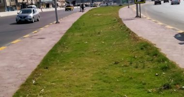 محافظ الإسكندرية: زراعة 17 ألف متر نجيل طبيعى و365 شجرة بامتداد محور المحمودية