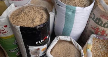 ضبط 1.5 طن أعلاف حيوانية منتهية الصلاحية فى حملة تموينية بالغربية