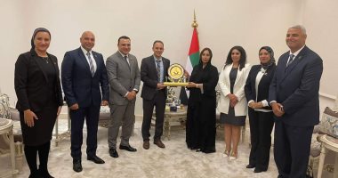 وفد "التنسيقية" يلتقي السفيرة الإماراتية بالقاهرة 