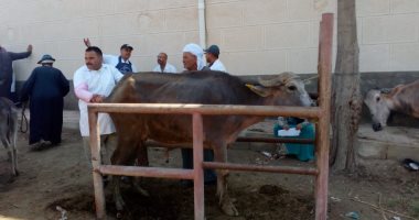 فحص 350 حيوانا و8250 طائرا خلال قافلة بيطرية فى المحلة بالغربية.. صور