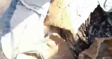 مواطنون يضبطون مُسنا أثناء دفن أعمال على جماجم في مقابر بورسعيد