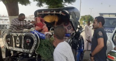 ضبط 4 عربات حنطور مخالفة وسائقيها لتعاطيهم المخدرات في أسوان.. صور