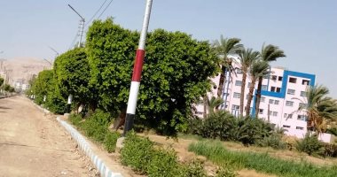 زراعة 3250 شجرة متنوعة بسوهاج ضمن المبادرة الرئاسية "100 مليون شجرة".. صور