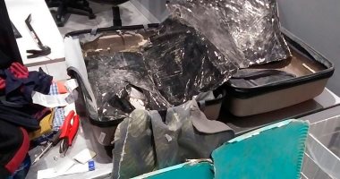 عمرها 81 سنة.. القبض على سيدة دنماركية لتهريبها كمية مخدرات كبيرة عبر بولندا