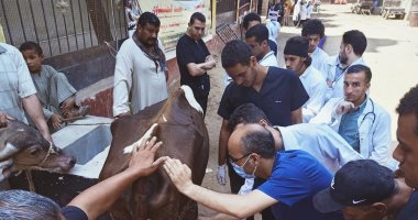 حياة كريمة بأسيوط.. قوافل بيطرية بالقرى لخدمة المزارعين مجانا "صور"