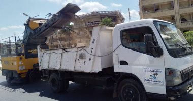 حملات نظافة وتطهير الترع وزراعة الأشجار بمدن كفر الشيخ.. صور