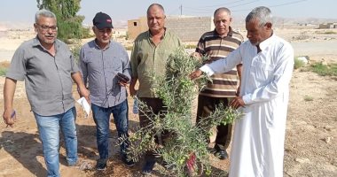 تحديد مواقع آبار المياه بإحدى مناطق وسط سيناء للحفاظ عليها