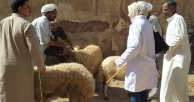 بيطرى الشرقية: الترصد الوبائى لـ10 آلاف منزل و109 زيارات متابعة تقصى للأسواق
