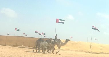 "العلمين الجديدة" تبهر العالم مجددا .. مضمار سباقات الهجن يستقبل ملاك الإبل وعشاق هذه الرياضة من مصر وخارجها.. الميدان نفذه الاتحاد الإماراتى بمواصفات فنية متقدمة.. ويمتد لمسافة 5 كيلو مترات بمسارات آمنة.. صور