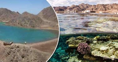 قبل قمة المناخ COP 27.. حملات بيئية من رحم المبادرة الرئاسية "اتحضر للأخضر".. "إيكو إيجيبت" أول حملة لاستقطاب 280 مليون سائح بيئى.. و"الرئة الخضراء" لزراعة 100 مليون شجرة.. و"بلولاجون" للحفاظ على المحميات