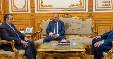 وزيرا الإنتاج الحربى وقطاع الأعمال يبحثان مستقبل صناعة السيارات الكهربائية  