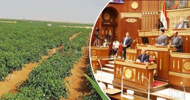 توصيات مجلس الشيوخ للحفاظ على المياه الجوفية.. أبرزها استخدام التكنولوجيا المتقدمة لرصد الخزانات.. وإقرار دراسات الـجـدوى الاقتصادية لمشروعات الاستصلاح.. ومراعاة الأهداف الاجتماعية والاقتصادية للتوسع الزراعى