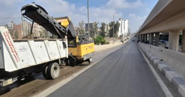 رفع 35 طن من تراكمات الأتربة بمشاركة 3 سيارات مكنسية بمدينة المنصورة.. صور