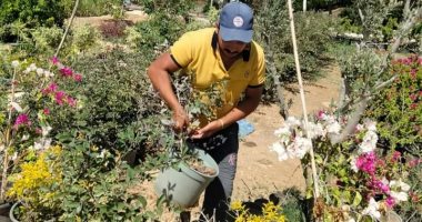 تطوير ورفع كفاءة ميدان مطار برج العرب ضمن مبادرة" 100مليون شجرة "بالإسكندرية