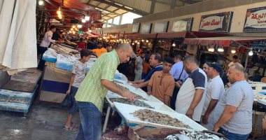 على أنغام السمسمية.. سوق السمك الجديد ببورسعيد يستقبل زواره بالترحاب.. صور